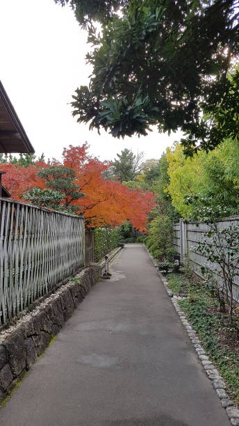 istock Narrow road along the fence. 892217968