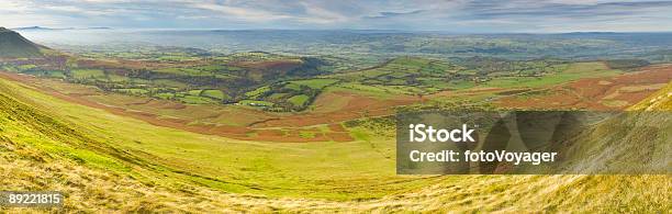 草原とパスチュア - Horizonのストックフォトや画像を多数ご用意 - Horizon, イギリス, ウェールズ