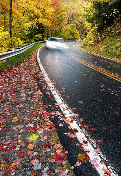 istock Slippery Highway and Autumn leaves 89222017