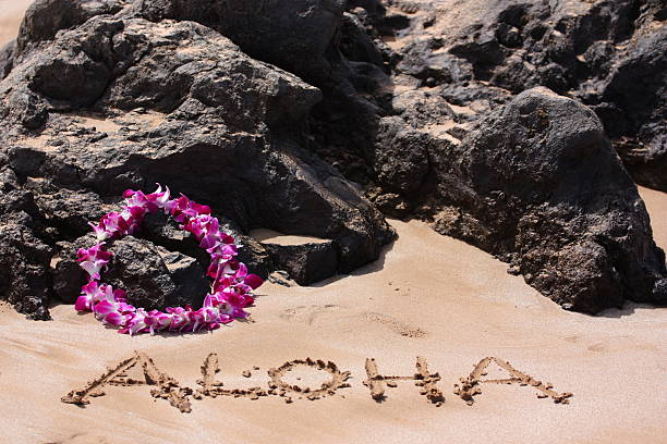 алоха написал на песке - black sand beach hawaii islands maui стоковые фото и изображения