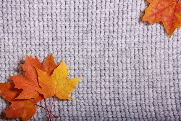istock Autumn accessories knitted sweaters and leaves 892228282