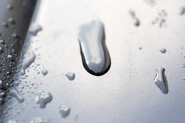 istock drops of water on a dark car 892229056
