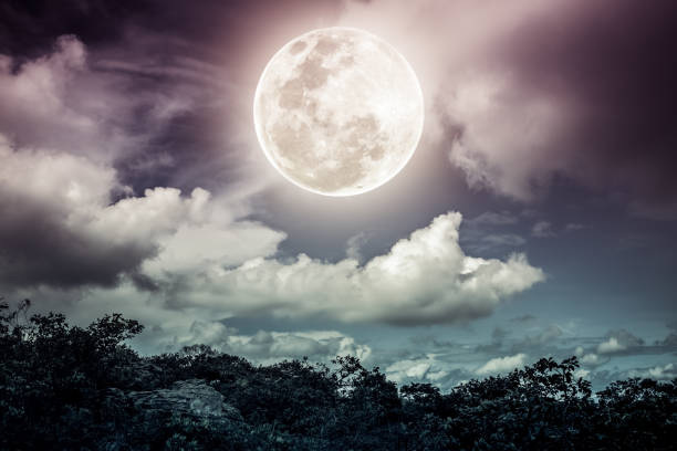 istock Silhouettes of tree and nighttime sky with clouds, bright full moon would. 892229452