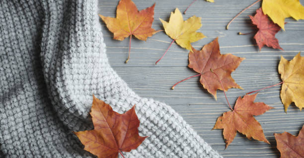 istock Autumn knitted sweaters and leaves 892234776