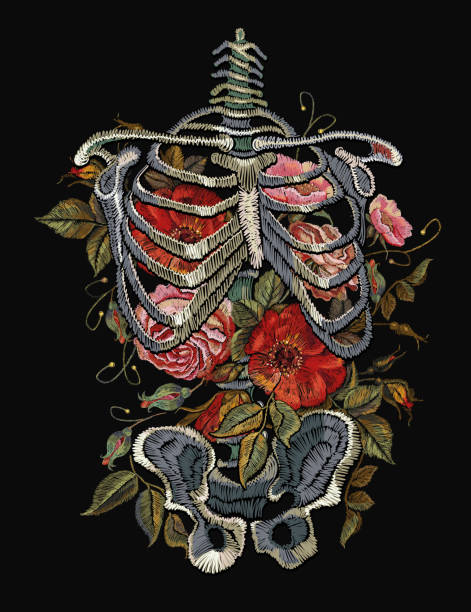 Gothic embroidery skeleton ribs and flowers. Fashionable clothes, t-shirt design, beautiful flowers, renaissance style vector. Embroidery human rib cage with red roses vector art illustration