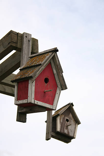 istock Birdhouses in the sky 89224288