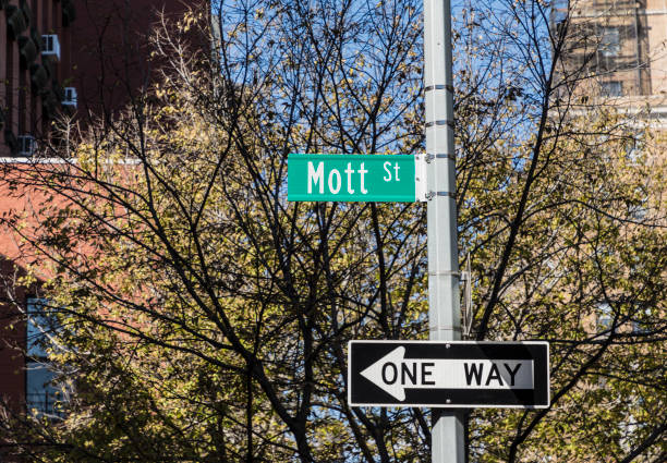 istock street sign Mott street 892250302
