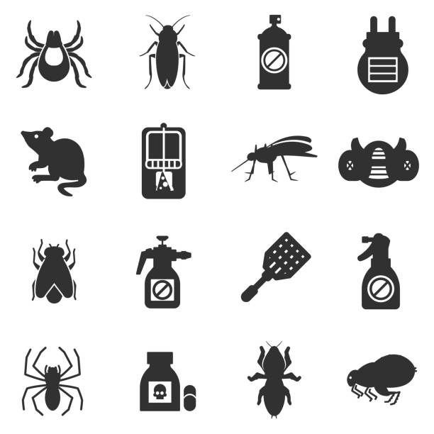 ilustrações, clipart, desenhos animados e ícones de conjunto de ícones de exterminadores de controle de pragas, - service pest insect fly