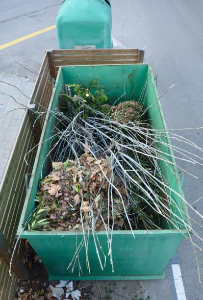 istock remains of trees in a container for recycling 892255146