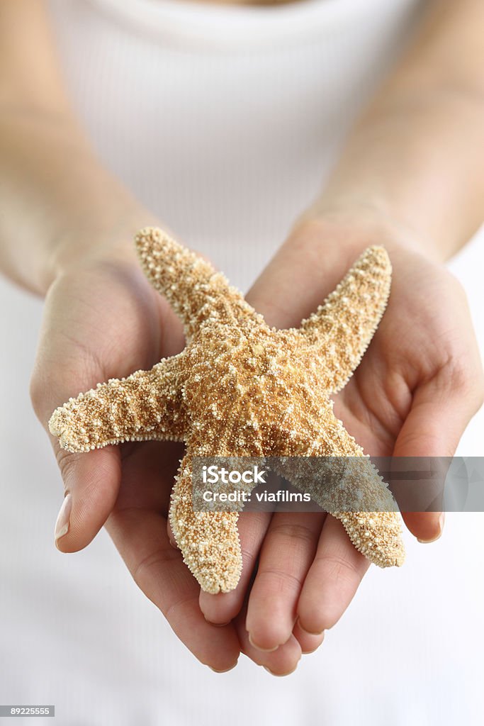 Mãos segurando estrela-do-mar - Foto de stock de Adulto royalty-free