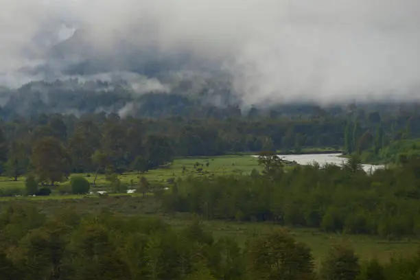 Photo of Patagonia Landscape