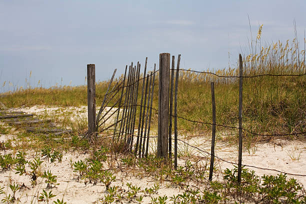 Decaying Fence stock photo