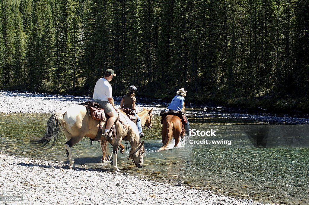 Crossing o rio - Royalty-free Animal Foto de stock