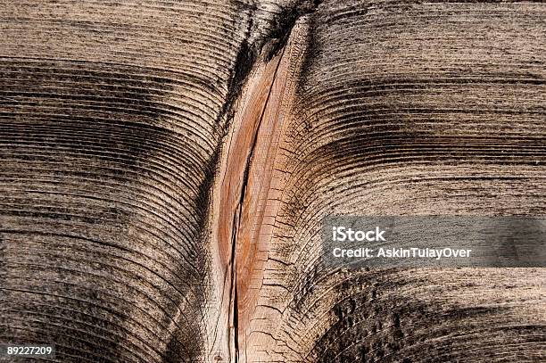 木製の - 膣のストックフォトや画像を多数ご用意 - 膣, クローズアップ, オークの木