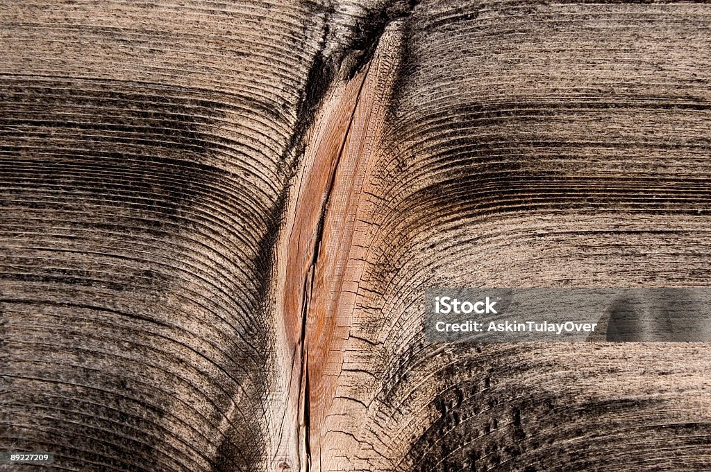 De madeira - Foto de stock de Vagina royalty-free