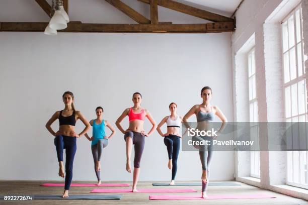 Group Of Sportive People In A Gym Training Stock Photo - Download Image Now - Aerobics, Learning, Group Of People