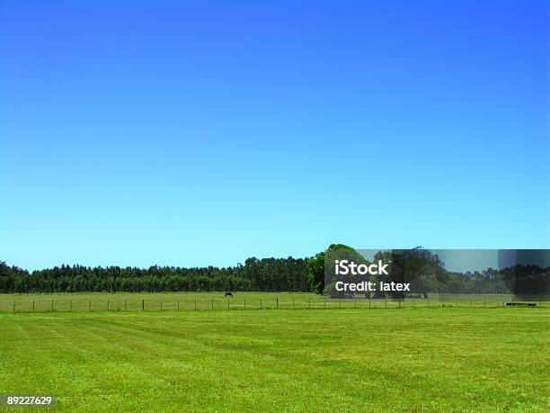 Three Trees Stock Photo - Download Image Now - Agricultural Field, Blue, Color Image