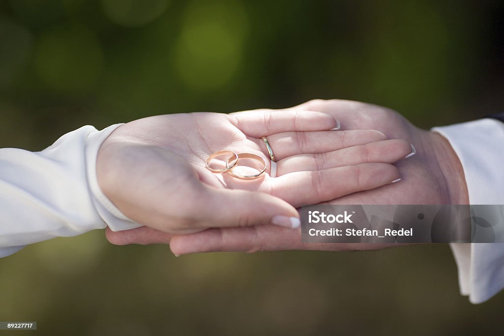 Präsentieren Hochzeit Ringe - Lizenzfrei Bestimmtheit Stock-Foto