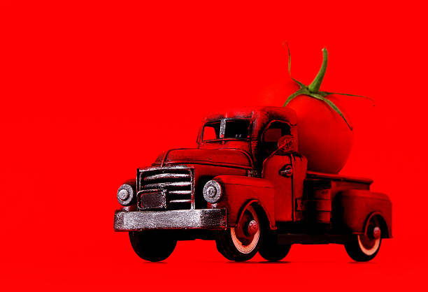 gigante de tomate - tomato giant vegetable pick up truck - fotografias e filmes do acervo