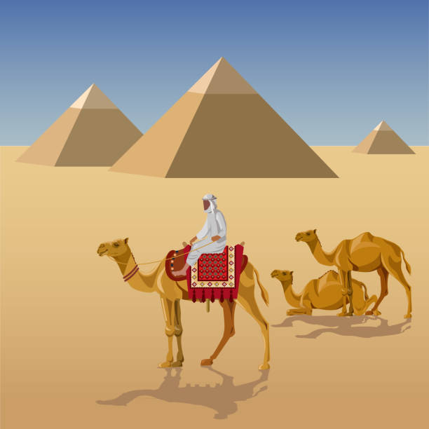 ilustraciones, imágenes clip art, dibujos animados e iconos de stock de camelcade y pirámides - camel ride