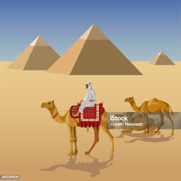 Camelcade And Pyramids Stock Illustration - Download Image Now - Camel, Riding, Adult
