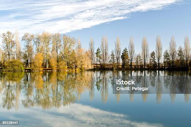 Reflejos En Un Lago Azul Foto de stock y más banco de imágenes de Agua - Agua, Aire libre, Cielo