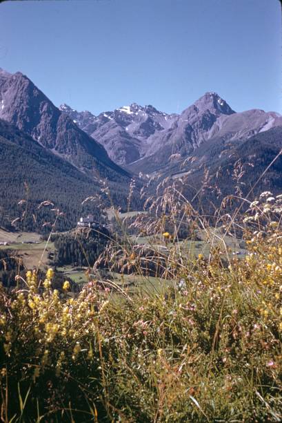 муниципалитет скуол, швейцария - mountain switzerland scuol mountain peak стоковые фото и изображения