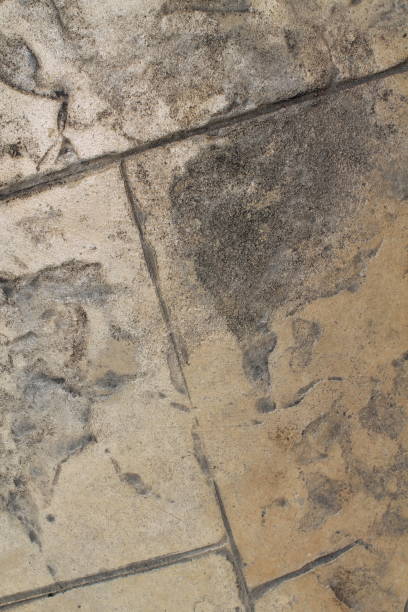istock Surface of the marble with brown tint. Rocks texture for web site background 892288868