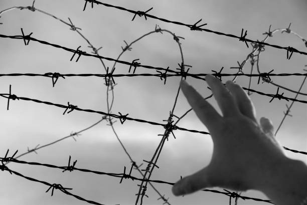 istock No more barriers and barbed wire. Border line. 892289730