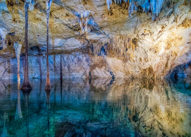 doline oder cenote in riviera maya, halbinsel yucatan - mexiko - stalagmite stock-fotos und bilder