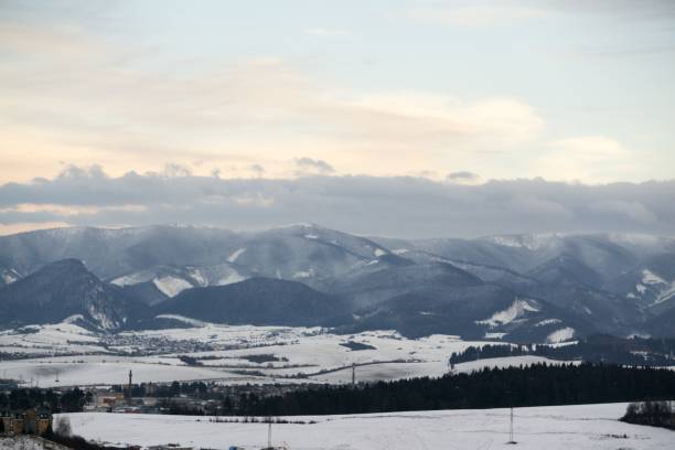 istock Sunset on meadow with snow during winter. Slovakia 892318340