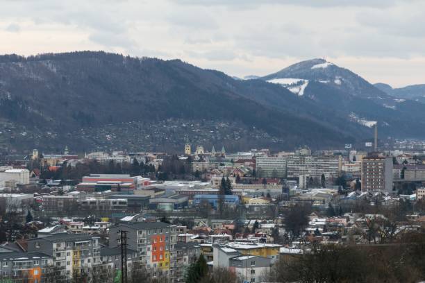 istock View to the town from the park in winter. 892320390