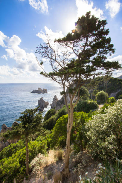 istock West coastline of Corfu, Greece 892323244