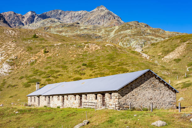 istock Barn at Bernina Pass Switzerland 892323378