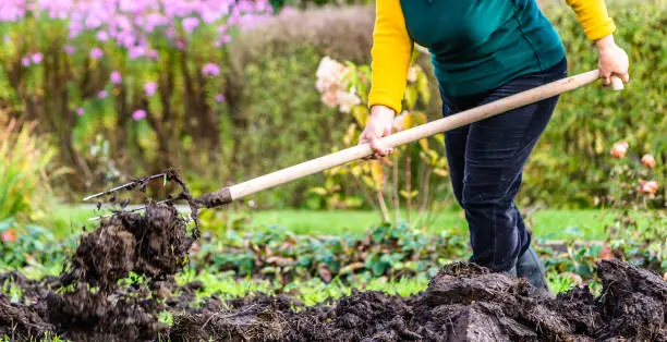 Photo of Working farmer in the garden. Organic fertilizer for manuring soil, preparing field for planting in spring, bio farming or autumn gardening concept