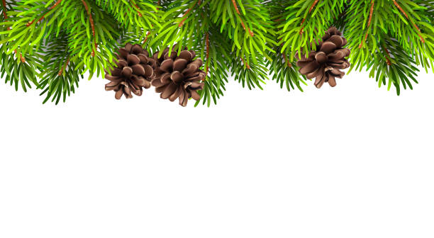 istock Stock illustration of Christmas tree branches with pine cones 892333826