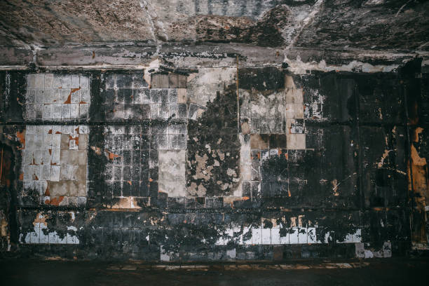 istock Burned by fire interior of old building. Charred ash walls 892345592