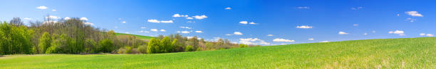 istock spring rural landscape with field and blue sky, a panorama 892345642