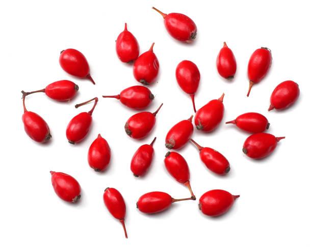 fresh barberry isolated on a white background top view - lycium chinese imagens e fotografias de stock