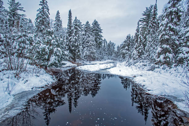 Reflective snow scene in small pond. Christmas comes to mind A small pond reflects a mirror image of snow covered trees on an overcast day.  The fresh snow on pine trees give a feeling of a Christmas card in real life! northern ontario stock pictures, royalty-free photos & images