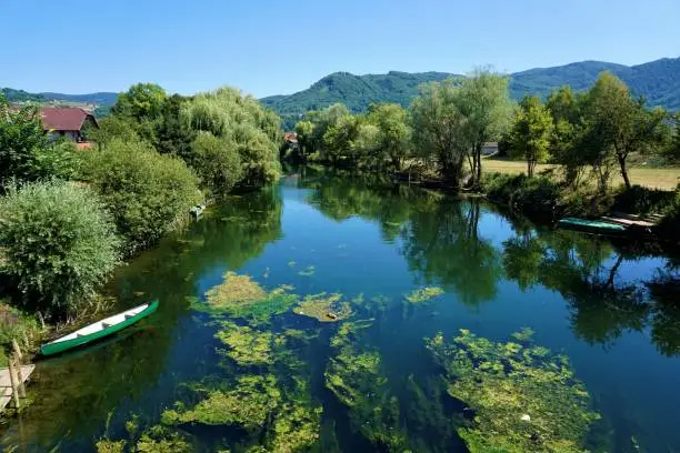 The Krka river in Kostanjevica na Krki, Slovenia