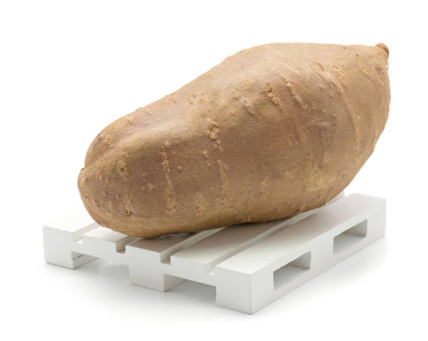 słodkie ziemniaki odizolowane - root vegetable raw potato human skin root zdjęcia i obrazy z banku zdjęć