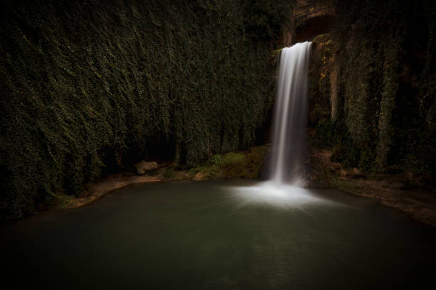 A stream of water flows through a rocky area. The water is clear and calm, and the rocks are mossy and green. The scene is peaceful and serene, with the sound of the water