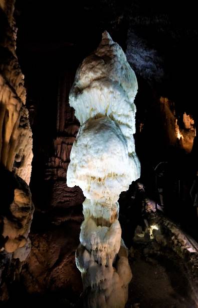 istock Beautiful stalagmite in the Postojna cave 892370098