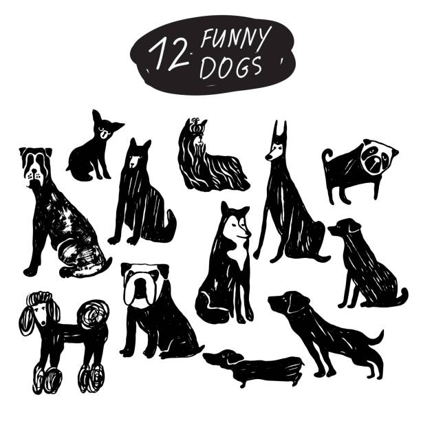векторная собака иконописный набор: терьер, пастух, лабрадор, бульдог, мопс, хаски, пудель, доберман, такса. черно-белые изолированные значки - dachshund dog small black stock illustrations