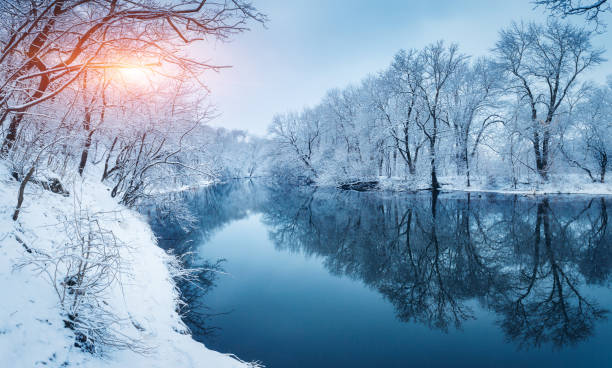 istock Winter forest on the river at sunset. Colorful landscape with snowy trees, river with reflection in water in cold evening. Snow covered trees, lake, sun and blue sky. Beautiful forest in snowy winter 892378208