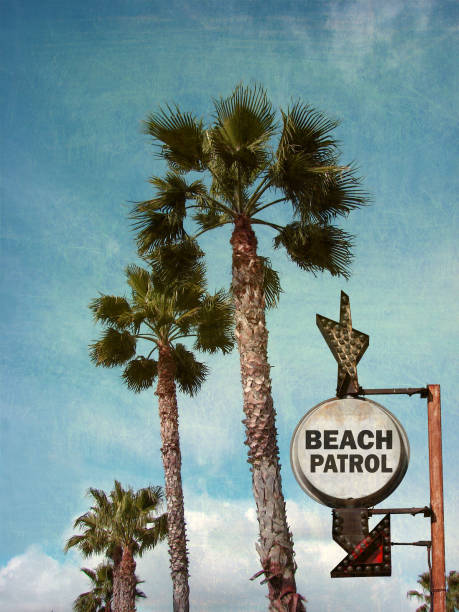 istock beach patrol sign 892387562