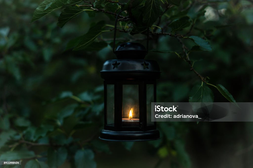 Retro candlestick holding Retro candlestick holding in the magic atmosphere in the forest Lantern Stock Photo