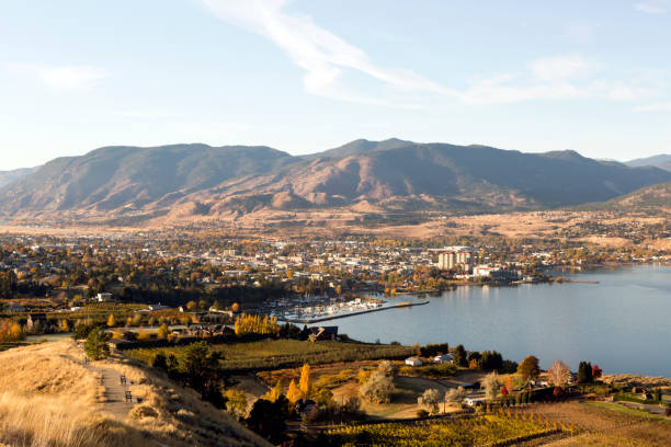 penticton okanagan valley kolumbia brytyjska kanada - okanagan vineyard canada orchard zdjęcia i obrazy z banku zdjęć