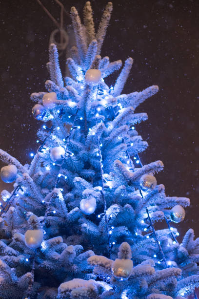 istock Beautiful decorated snowed in christmas tree in a cold winterlandscape 892422356